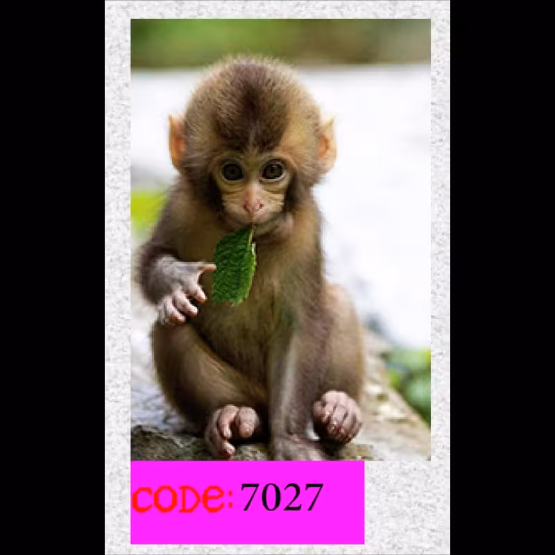تابـــلوچـــاپی مخمـــل مجمــوعه حیـــوانات سایــــز (50در70)