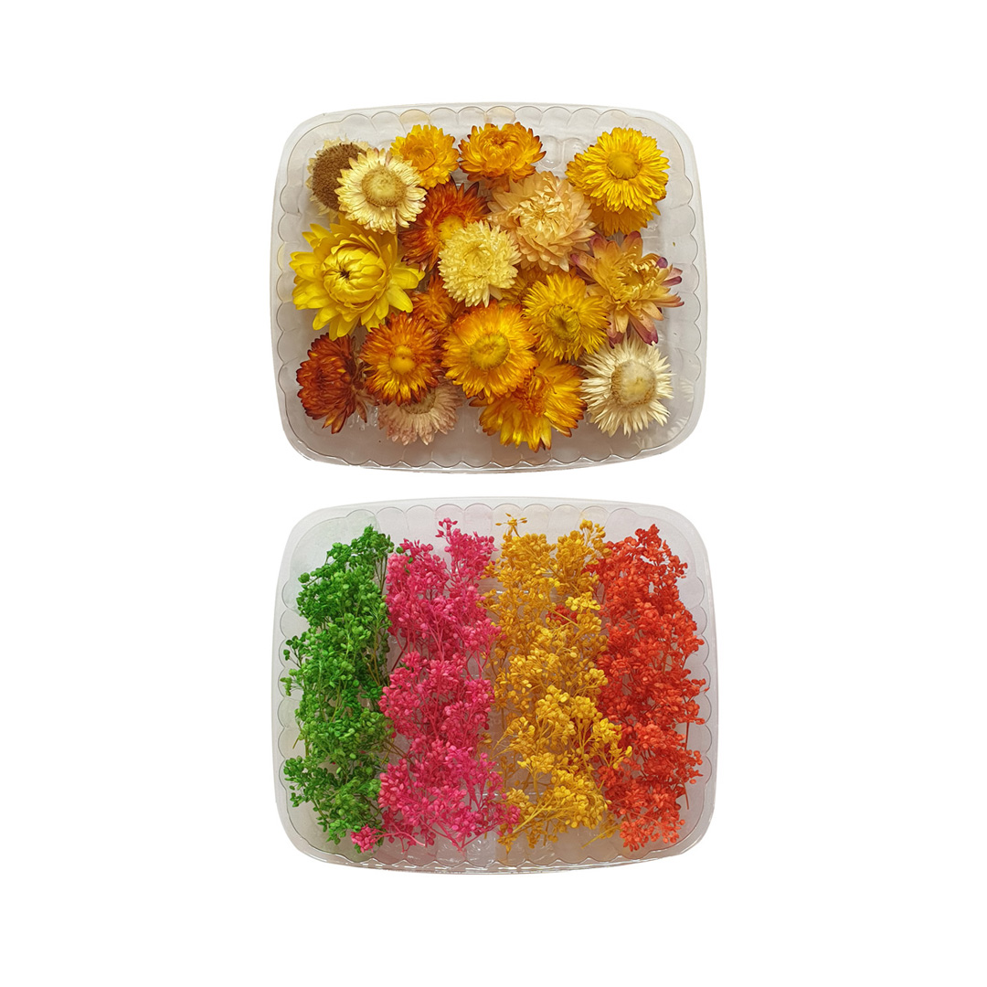 گل خشک مدل Mina100 بسته 2 عددی