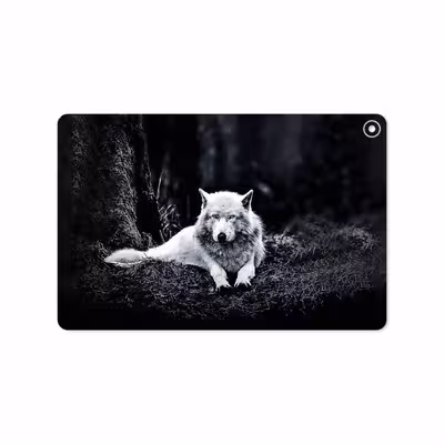 برچسب پوششی ماهوت مدل Dire Wolf مناسب برای تبلت هوآوی Matepad T10 2020 AGS-L09