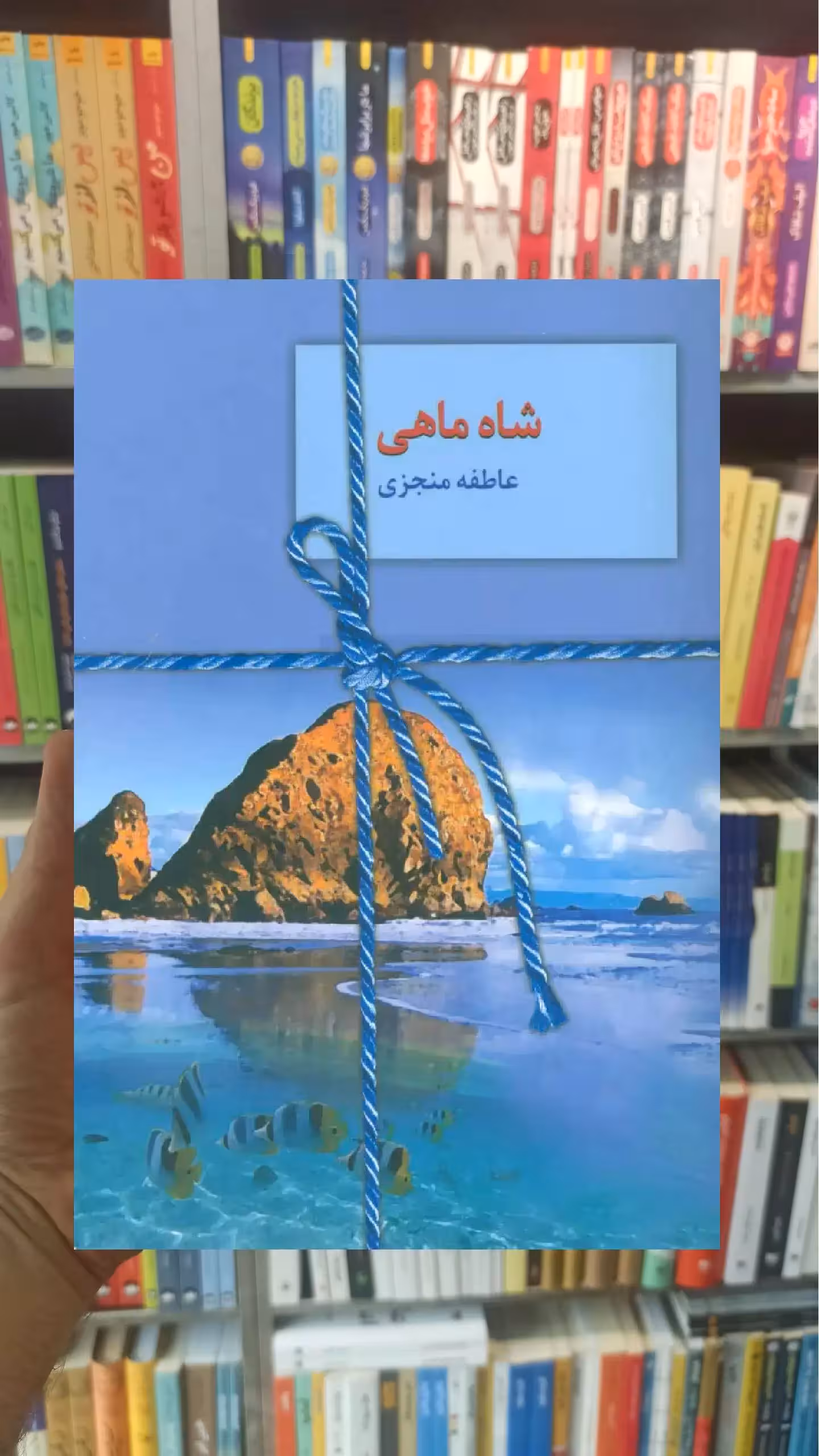 شاه ماهی عاطفه منجزی سخن - بانک کتاب ماندگار-قیمت-خرید-کتاب-کمک-درسی-کنکور-دانشگاهی
