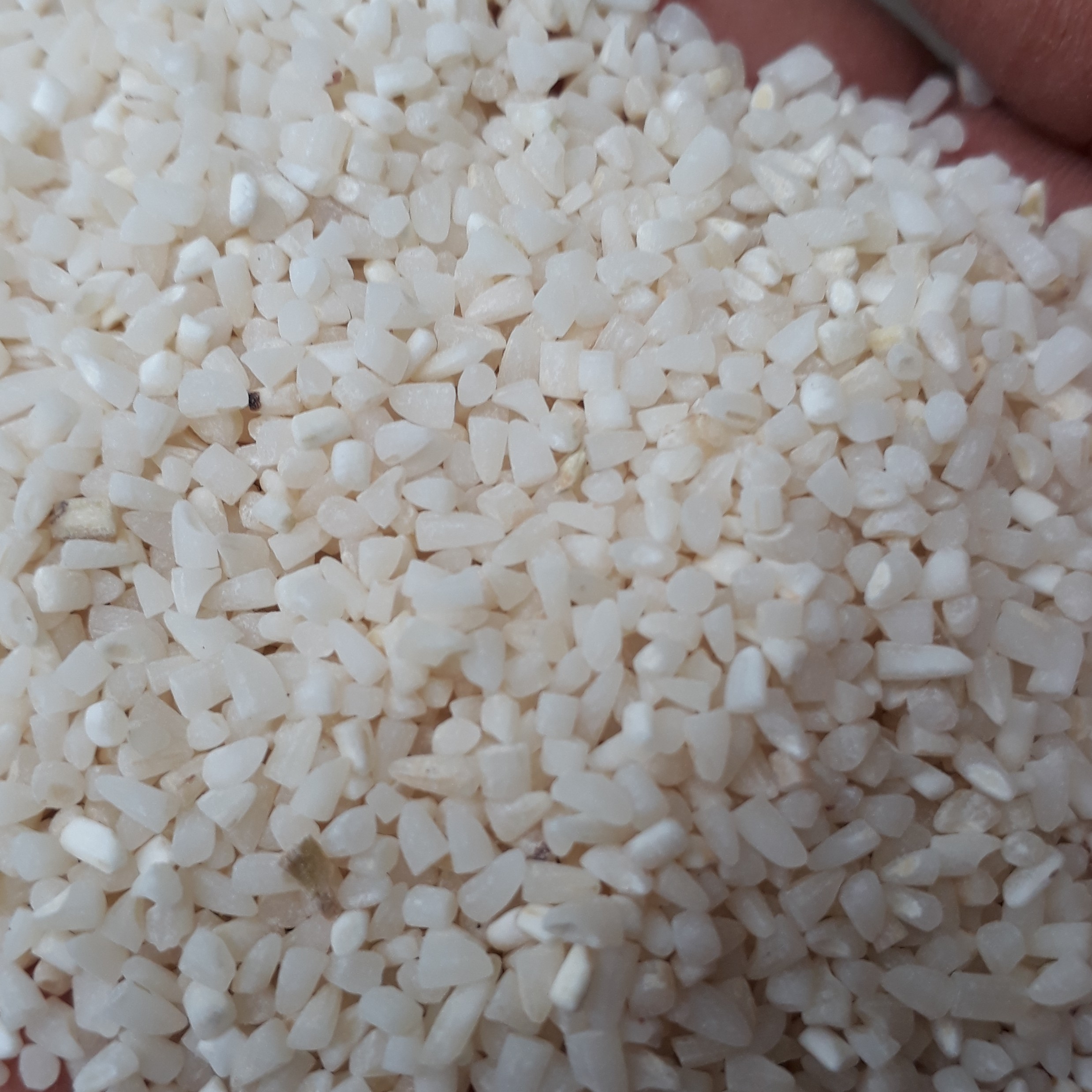 نیمدانه برنج هاشمی گیلان با بسته بندی مناسب جهت حمل نقل به نقاط دوردست بدون پارگی در بسته های 5و 10کیلوی با عطر و طعم