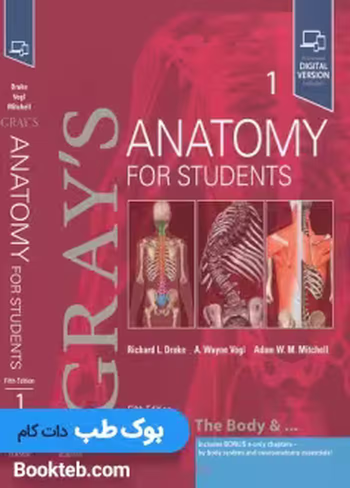 آناتومی گری 2024 جلد اول تنه زبان اصلی Gray's Anatomy for Students vol 1 (5th edition) 2024