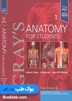 آناتومی گری 2024 جلد اول تنه زبان اصلی Gray's Anatomy for Students vol 1 (5th edition) 2024