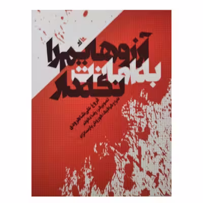 کتاب ارزوهایم را به امانت نگه دار اثر فروغ علی شاهرودی انتشارات دفتر فرهنگ اسلامی 
