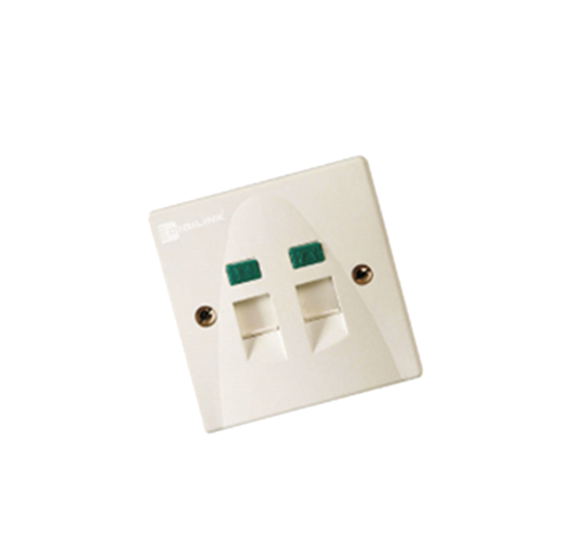 Network Outlets دو پورت Schneider مدل DCEIODMSXXXX - فروشگاه اینترنتی طیف سنتر