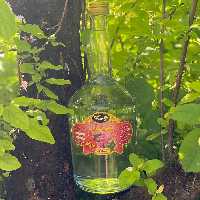 گلاب دو اتیشه ناب قمصر کاشان عیار36