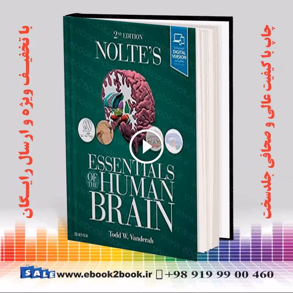 Nolte’s Essentials of the Human Brain 2nd Edition
