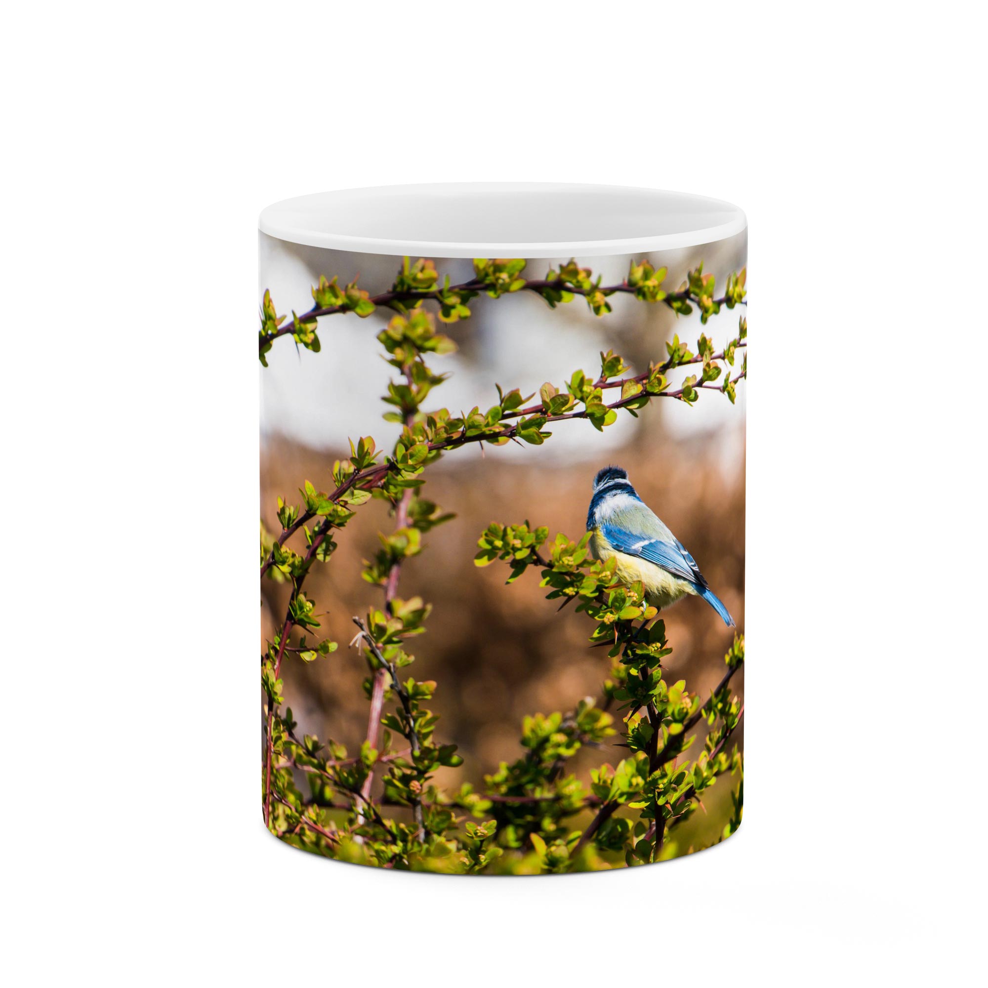 ماگ طرح بلبل مدل mgp03105