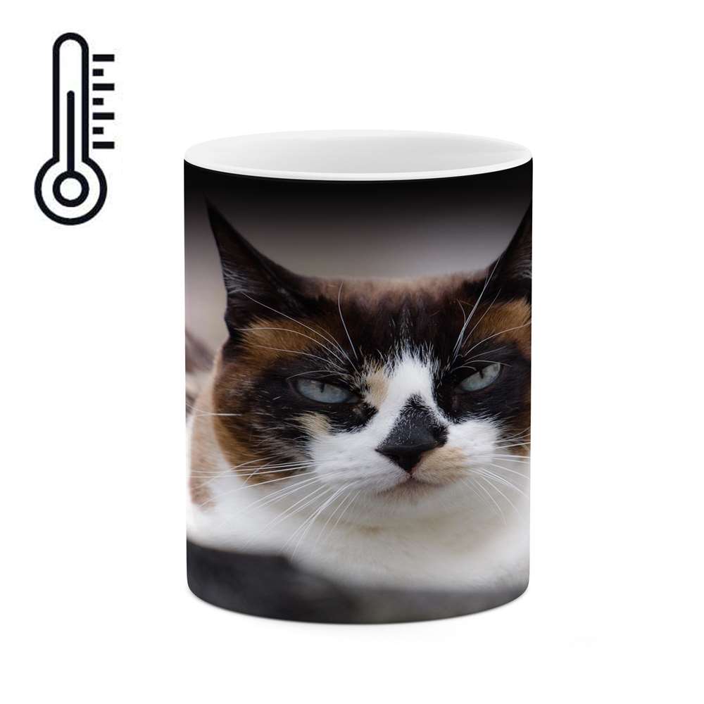 ماگ حرارتی کاکتی طرح گربه مدل mgh14577