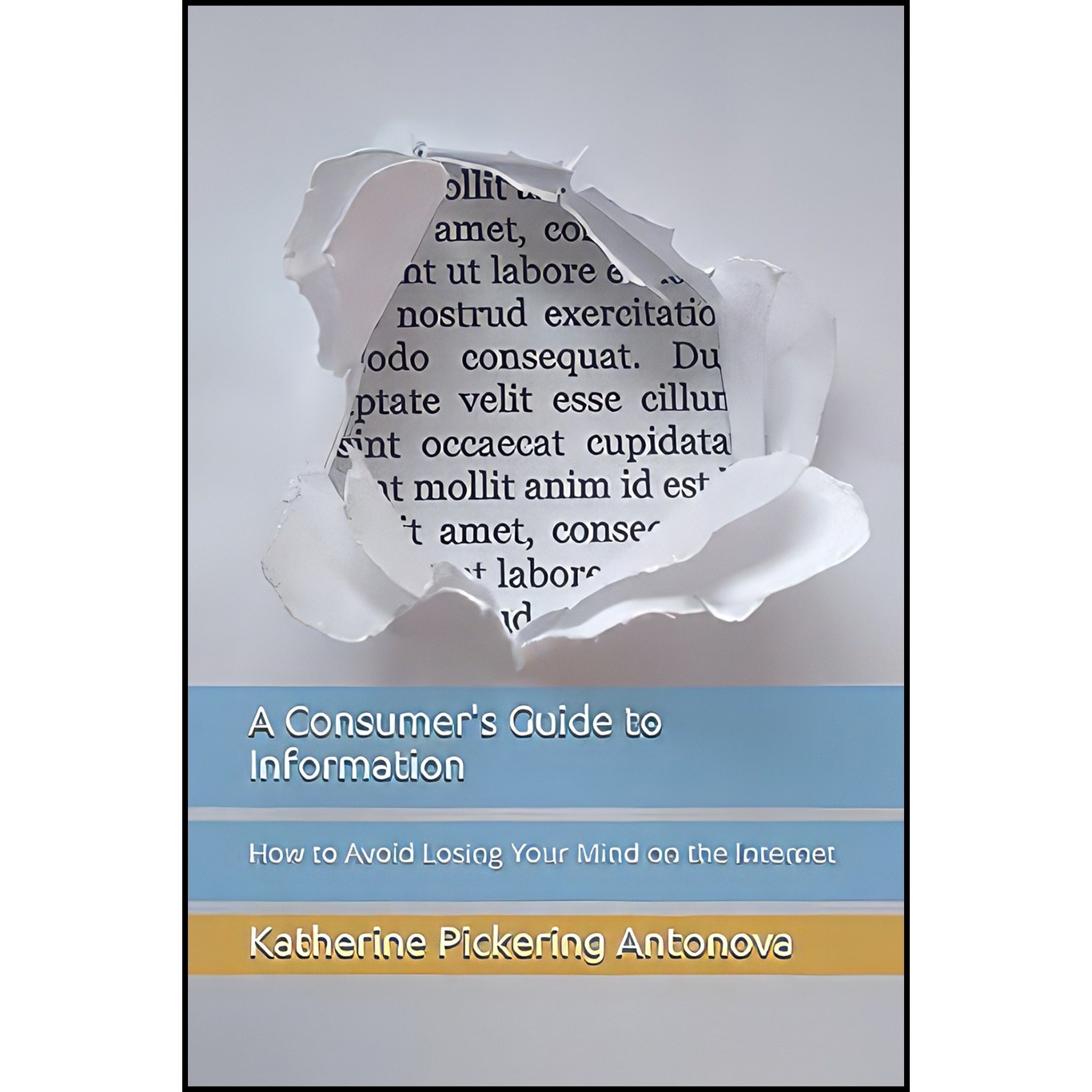 کتاب زبان اصلی A Consumers Guide to Information