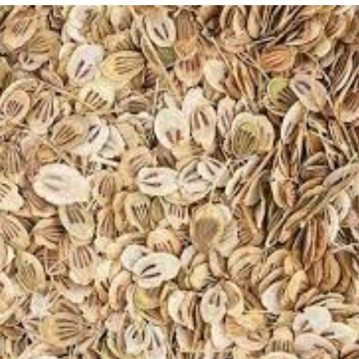 گلپر درشت 1000 گرمی،گلپر آسیاب نشده یک کیلو گرمی 