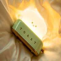 چراغ خواب فانتزی شارژی تایمردار Lamp LED Night Light Bedroom Bedside Timing Sleeping Light