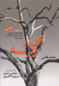خرید کتاب بی ریشه — کتابسرای طه