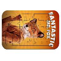 پازل 35 تکه طرح انیمیشن آقای فاکس شگفت انگیز مدل NI2220 