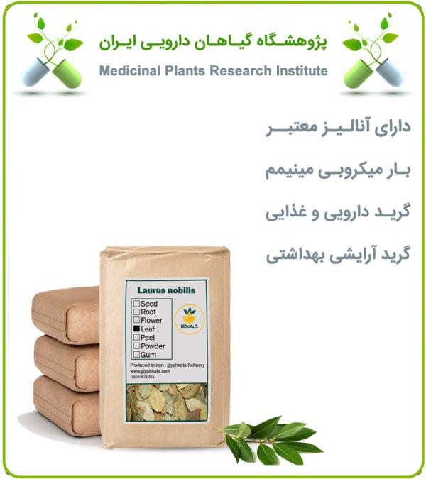 برگ بو خشک فله