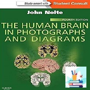 The Human Brain in Photographs and Diagrams TRUE PDF price