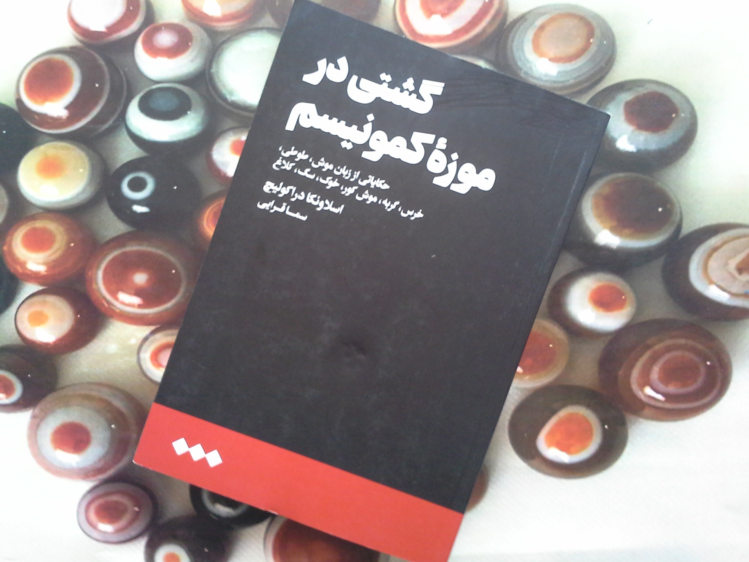 کتاب گشتی در موزه کمونیسم - خرید با تخفیف چهل درصد از کتاب دایره قهوه ای