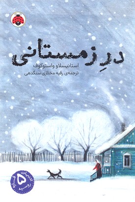 در زمستانی