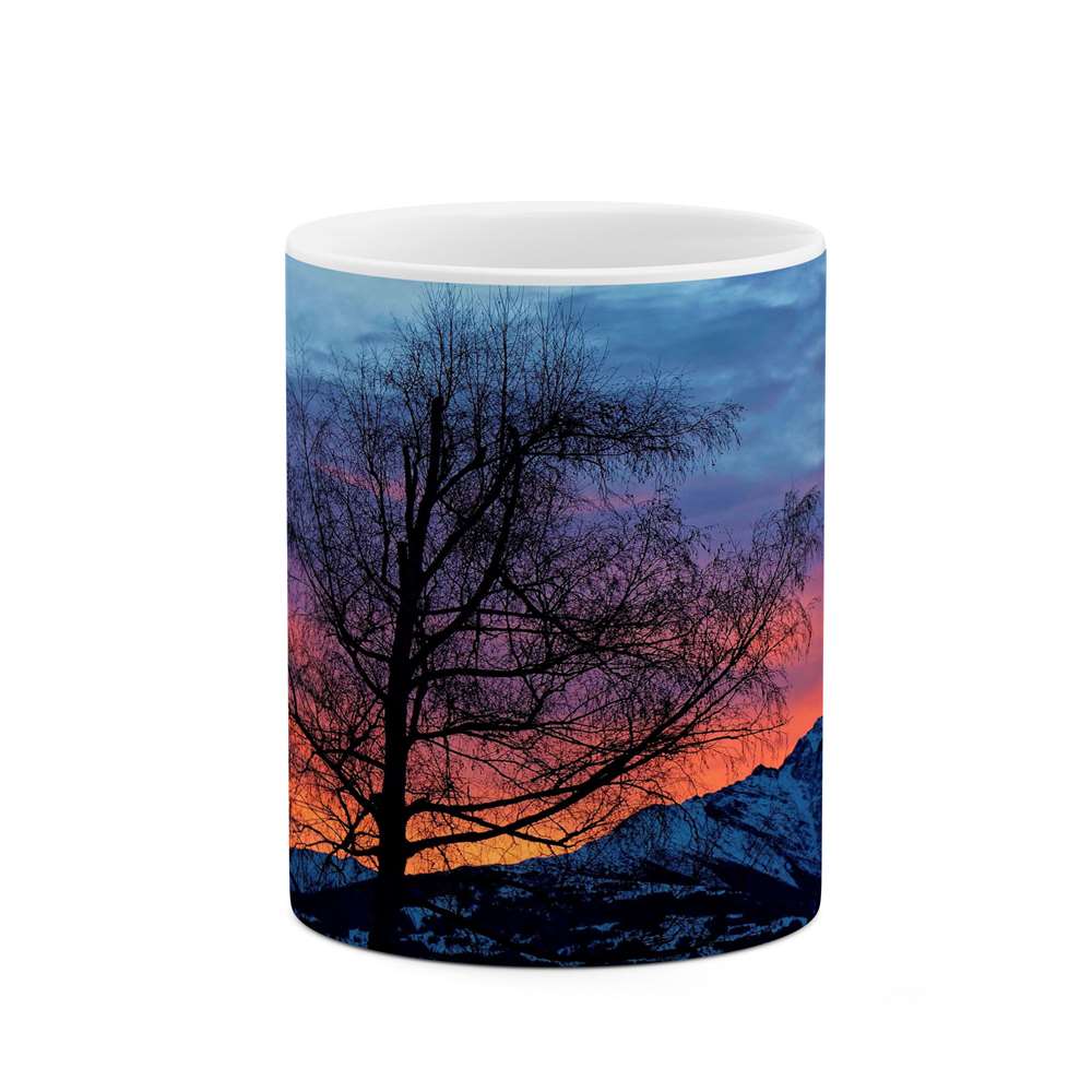 ماگ کاکتی طرح منظره مدل mgs13254