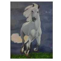 تابلو نقاشی رنگ روغن مدل سپیده کد ekt-32