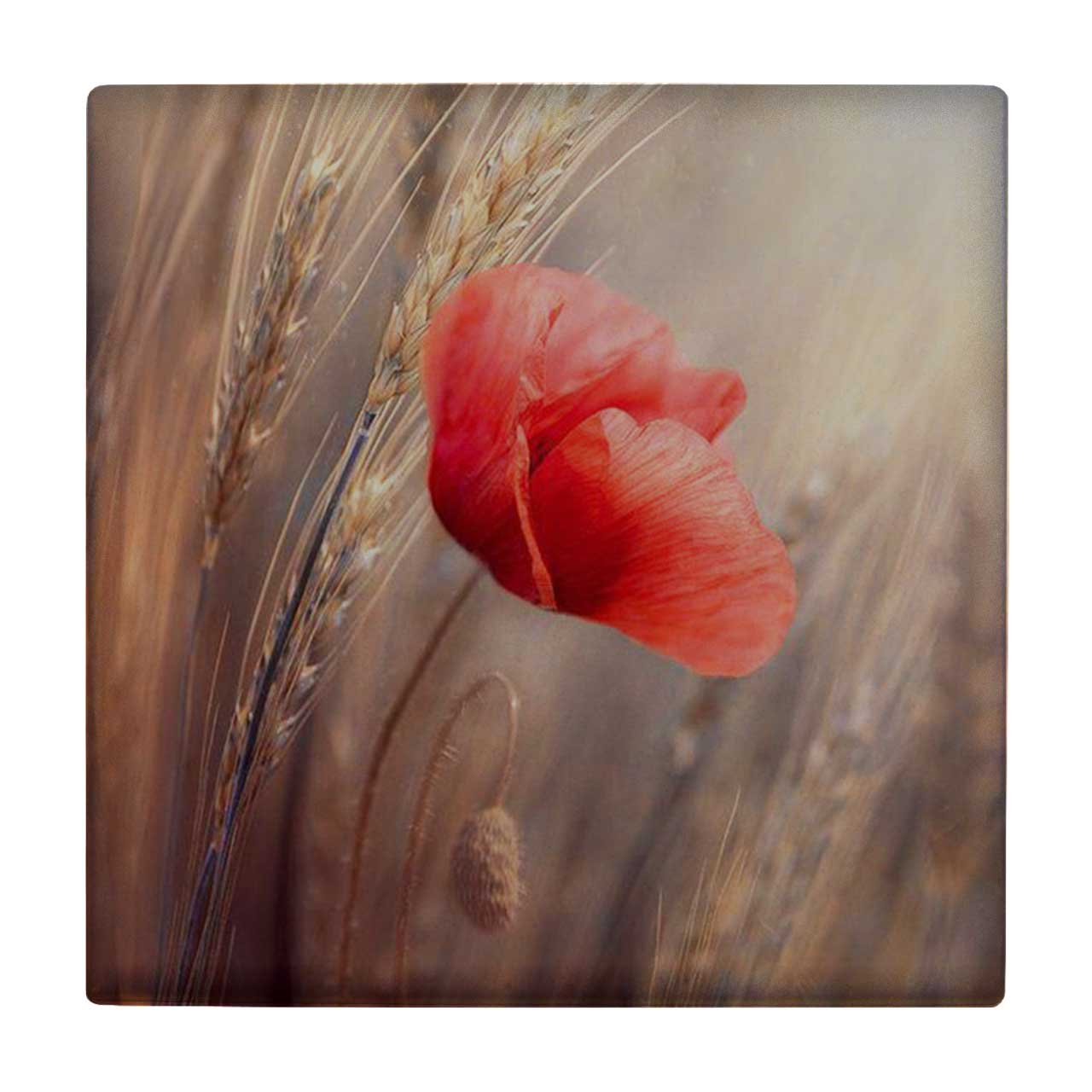 زیر لیوانی طرح گل شقایق کد    3403231_909