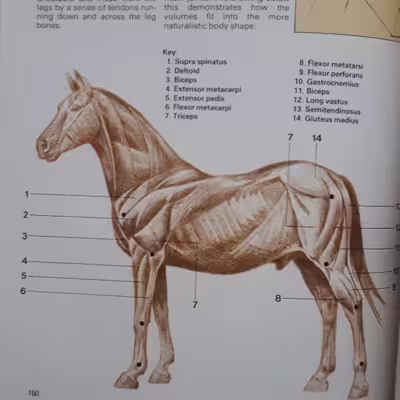 كتاب Learn to Paint and Draw اثر Paragon انتشارات Paragon