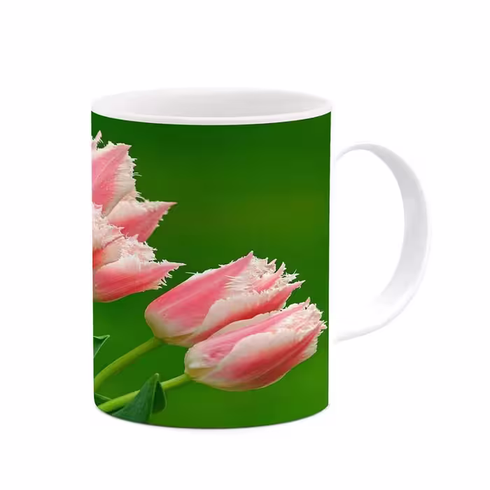ماگ طرح گل مدل mgs12114