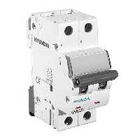 کلید مینیاتوری 6 آمپر دو پل هیوندای کد C6-6KA-2P