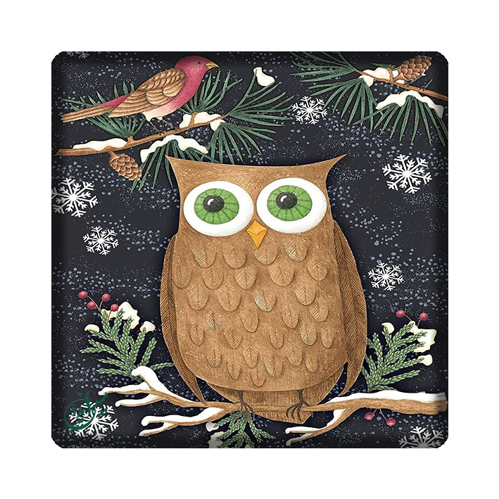 کاشی مبین ایده مدل جغد kh10 کد 1141