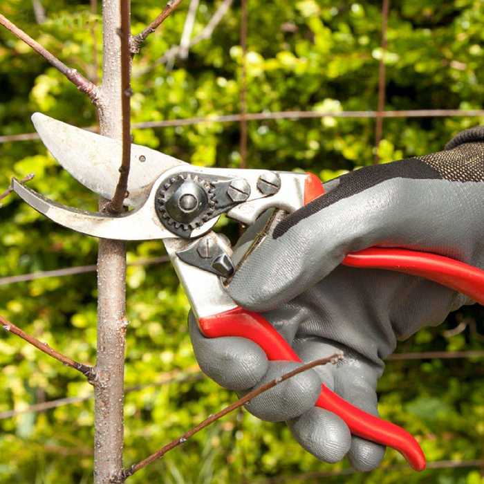 قیچی باغبانی فیلکو مدل 2