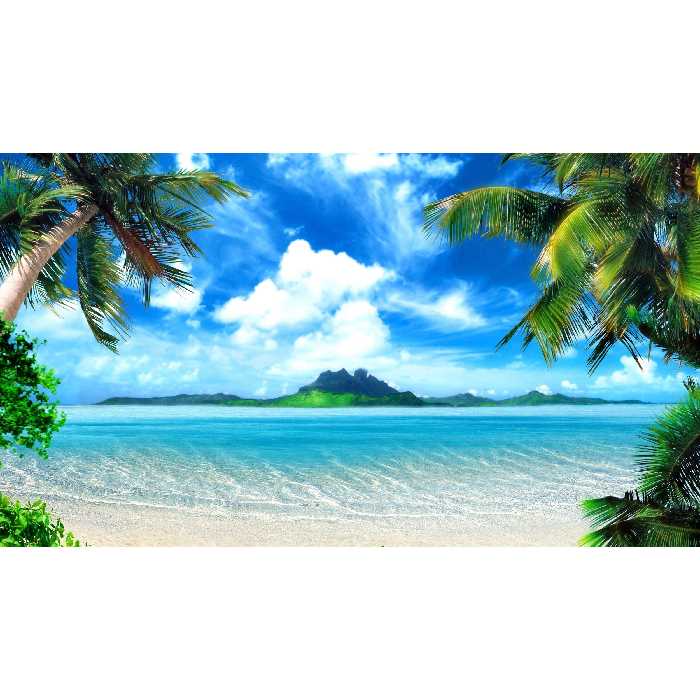 تابلو شاسی مدل دریا و ساحل و آسمان و ابر و درخت و نخل کد T7608