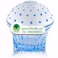 عطر ادکلن هاوس آف سیلیج لاو ایز این د ایر 75 میل زنانه