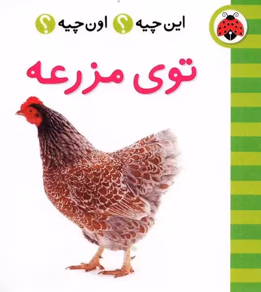 این چیه اون چیه (توی مزرعه) - کتاب‌فروشی کوچه کتاب