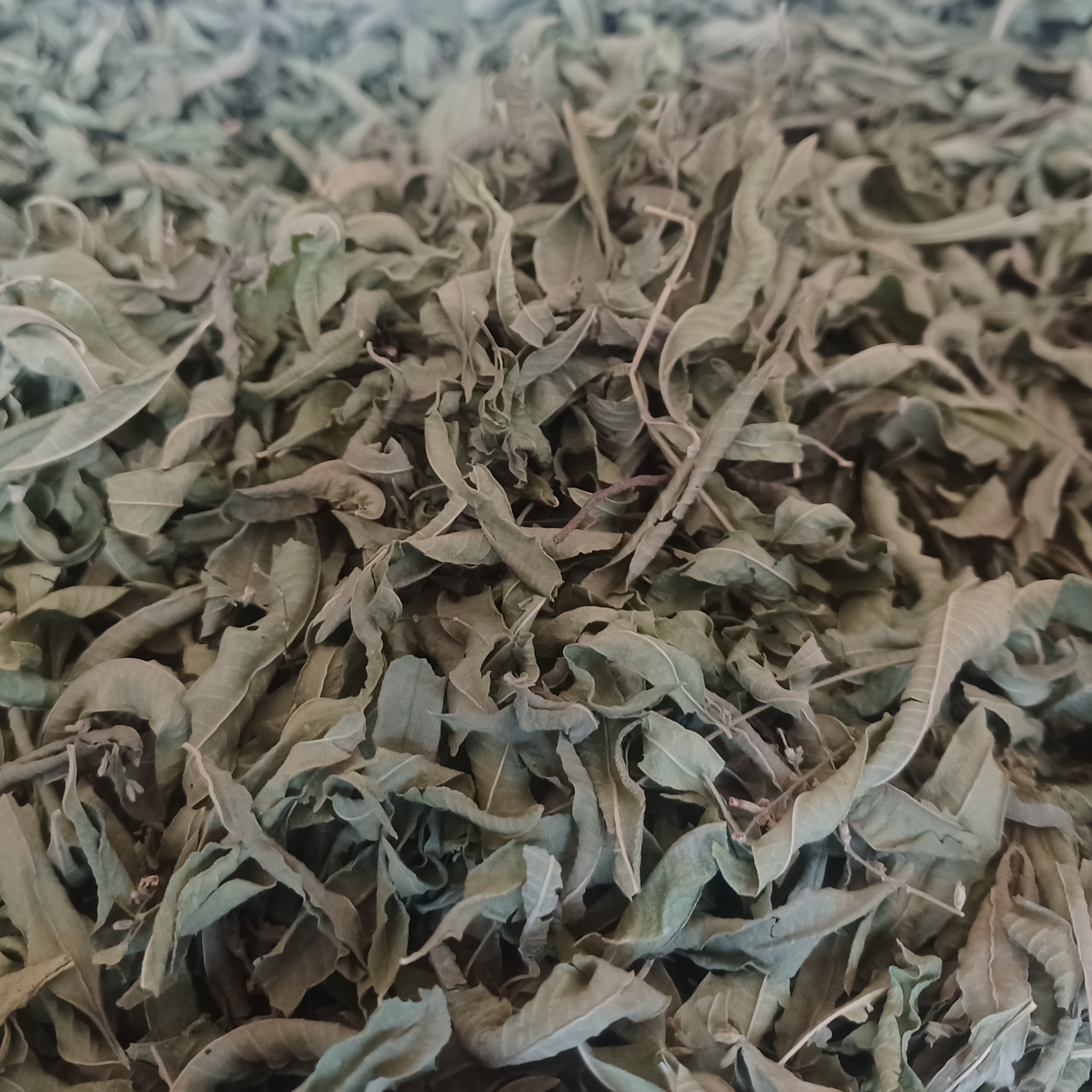 برگ به لیمو خشک با رنگ و بو و طعم عالی