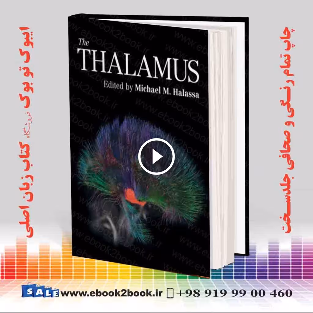 The Thalamus