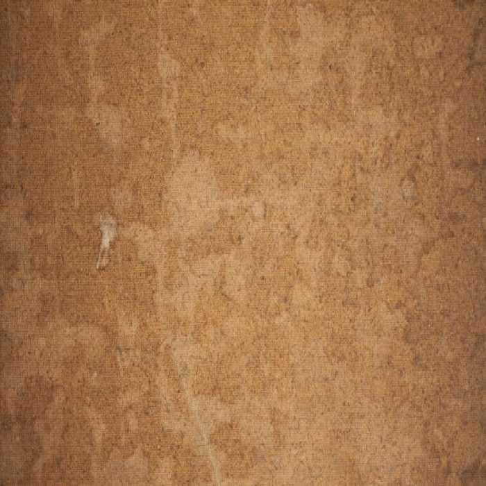 خرید و دانلود عکس ShutterStock-2014-Backgrounds &amp; Textures کد 53521 | پیک فاکس | Pic Fox