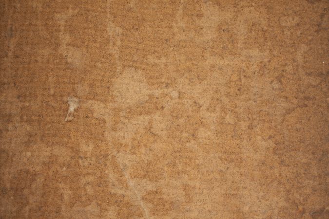 خرید و دانلود عکس ShutterStock-2014-Backgrounds &amp; Textures کد 53521 | پیک فاکس | Pic Fox