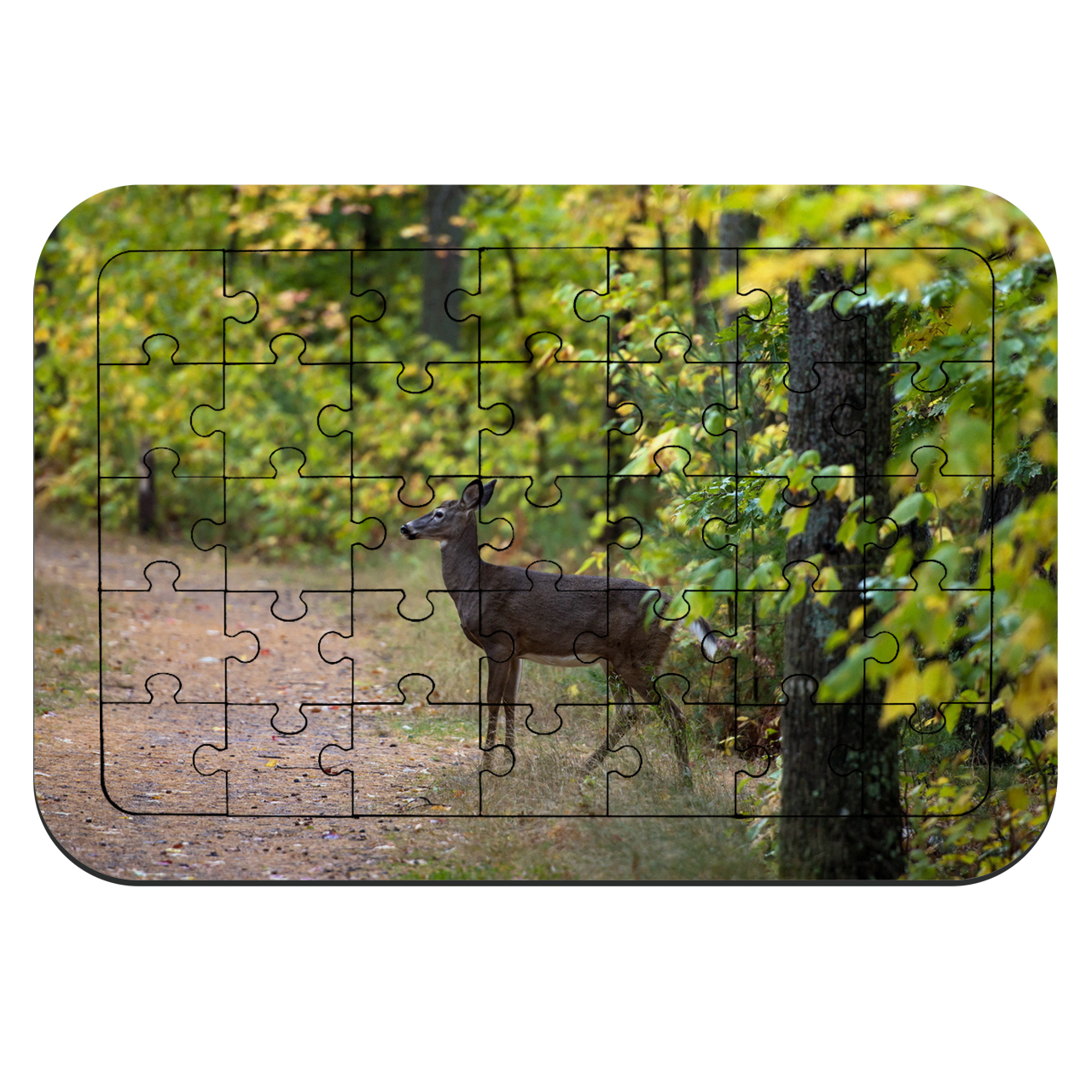 پازل 35 تکه طرح آهو و جنگل مدل NI530