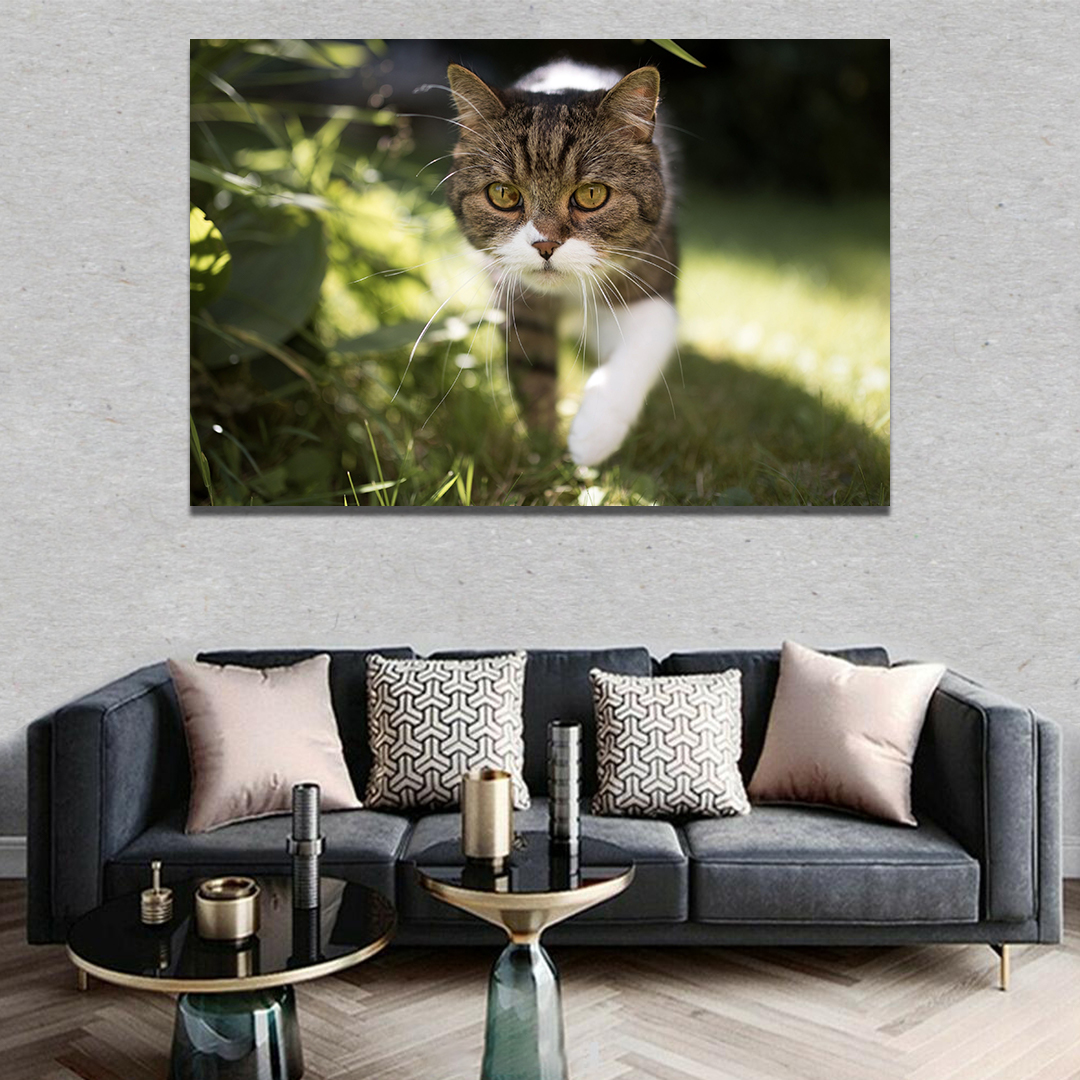 تابلو شاسی مدل گربه کد RA2hD0088