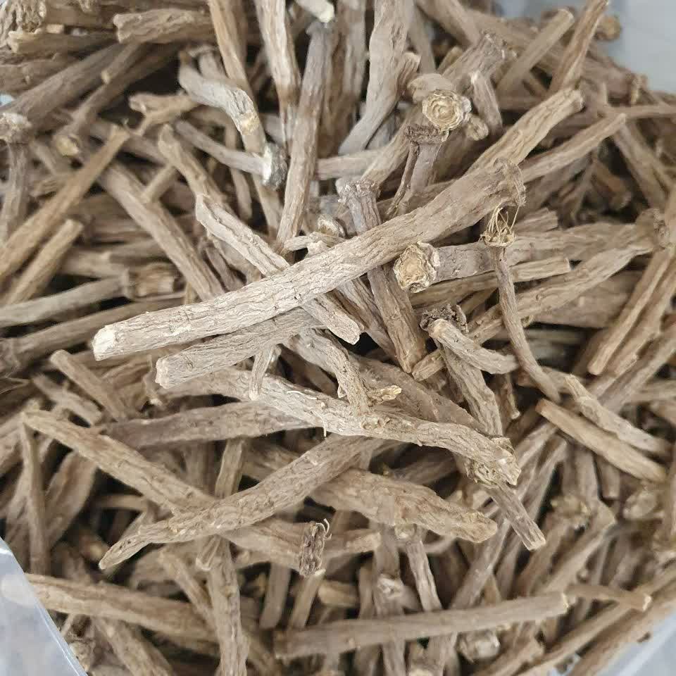 عاقرقرها 50 گرم .عاقرقرحا 