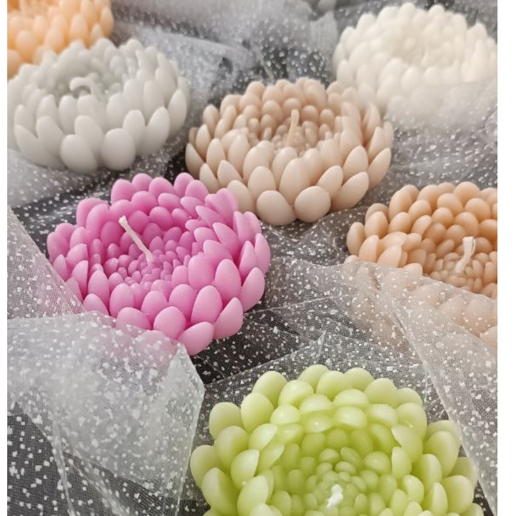 شمع گل داوودی روآبی