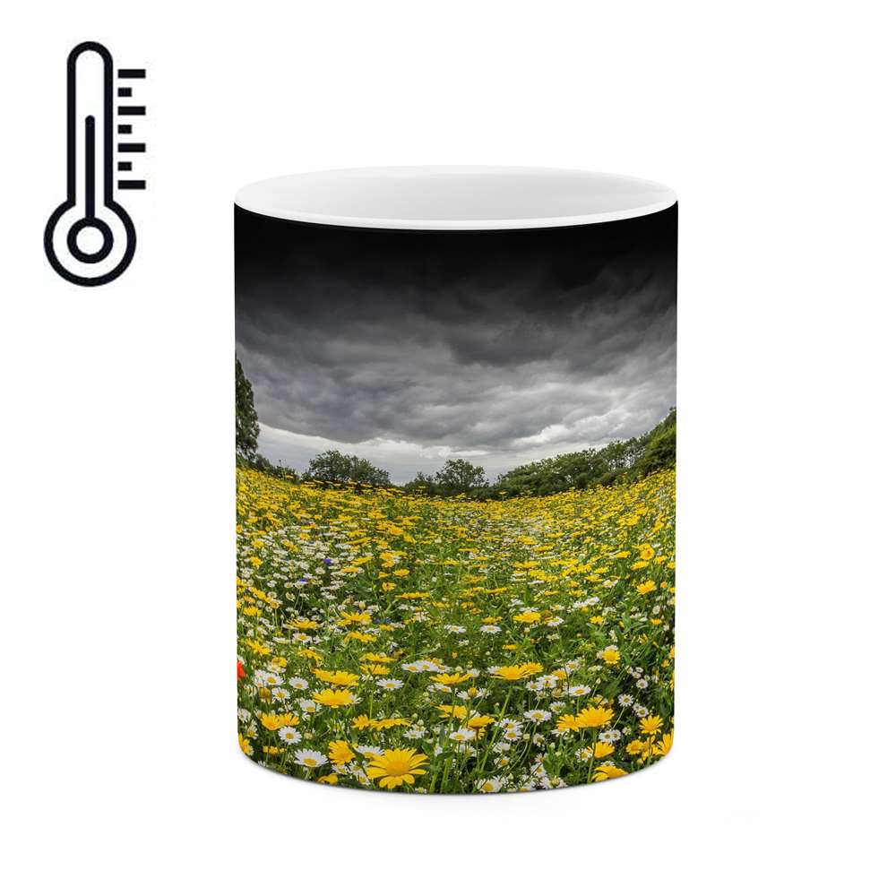 ماگ حرارتی کاکتی طرح منظره مدل mgh13259