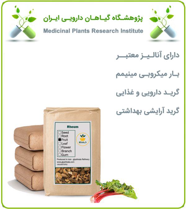 ریواس خشک فله