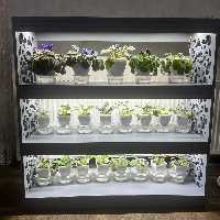 استند گل  ارسال به صورت باربری(پس کرایه ای) 