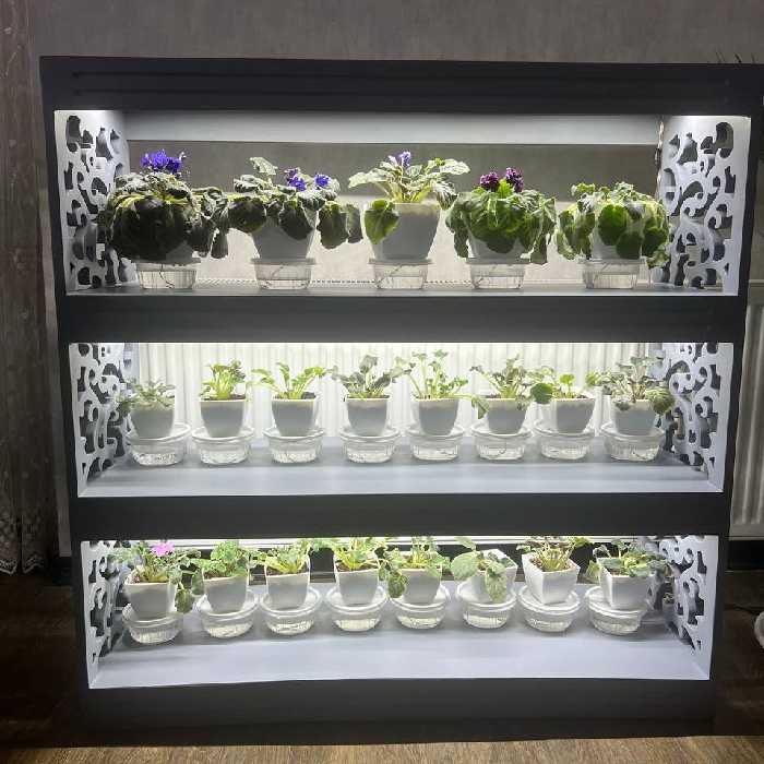 استند گل  ارسال به صورت باربری(پس کرایه ای) 