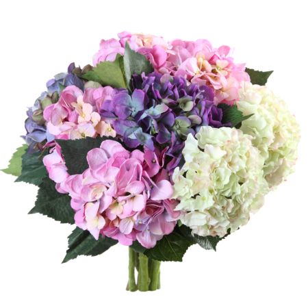 خرید و دانلود عکس Flower-Part-3 کد 17818 | پیک فاکس | Pic Fox