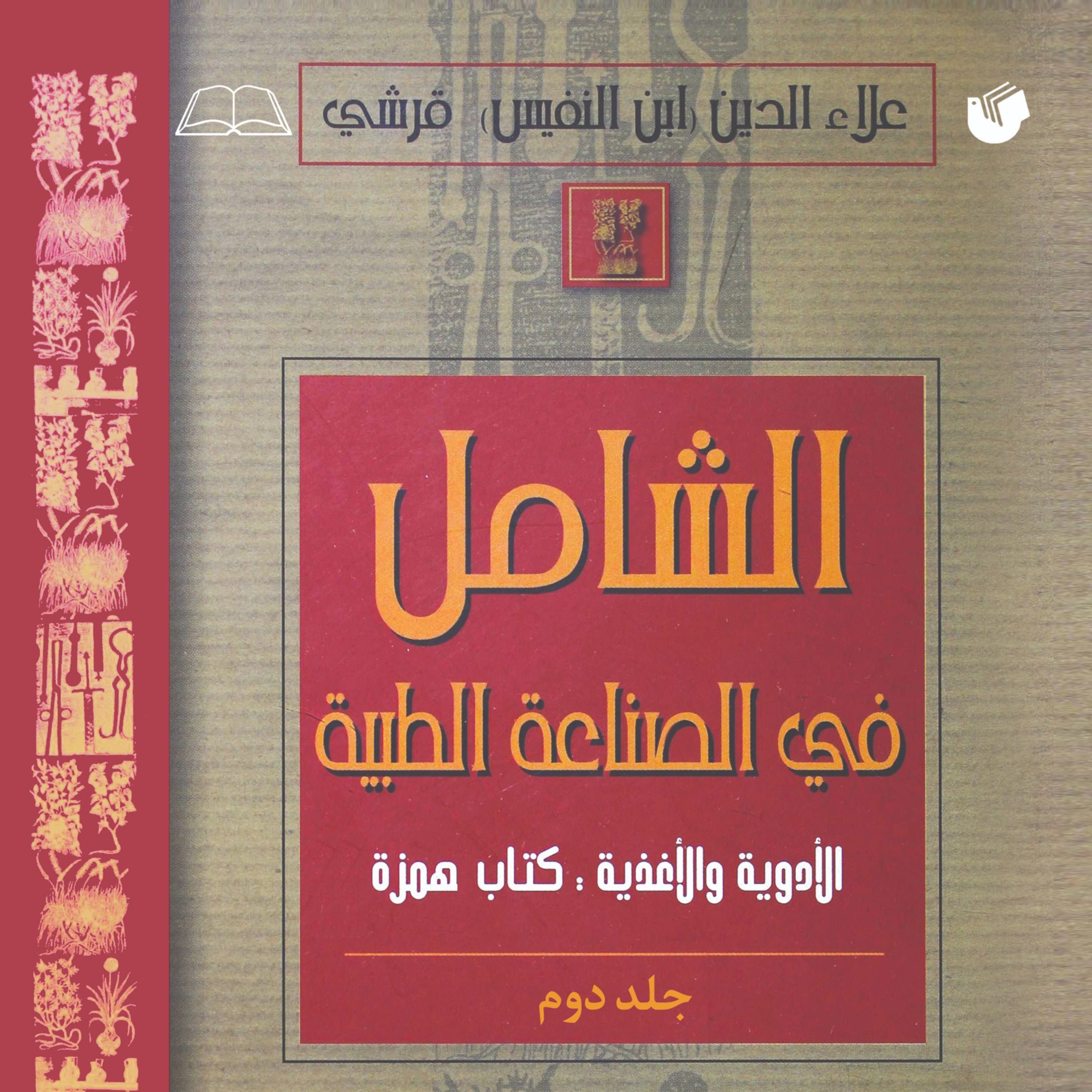 الشامل فی الصناعه الطبیه جلد 2