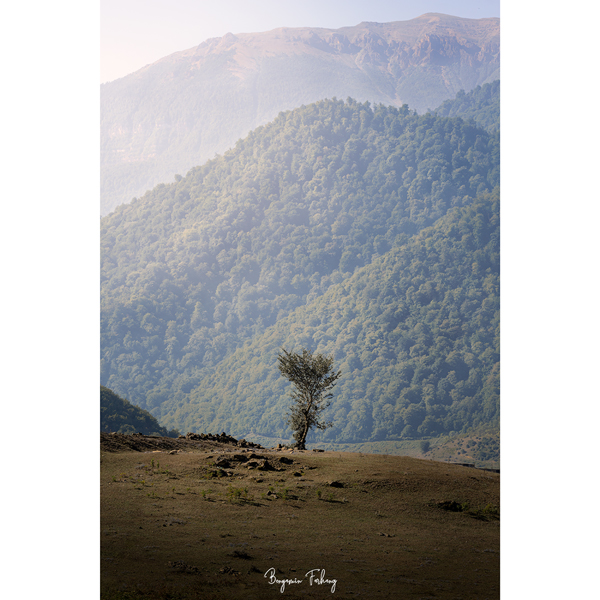 تابلو شاسی مدل 003