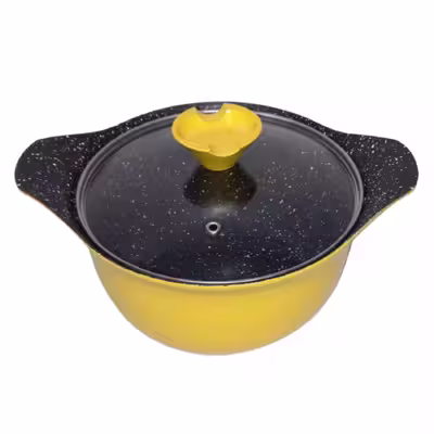 قابلمه مدل gold سایز 20