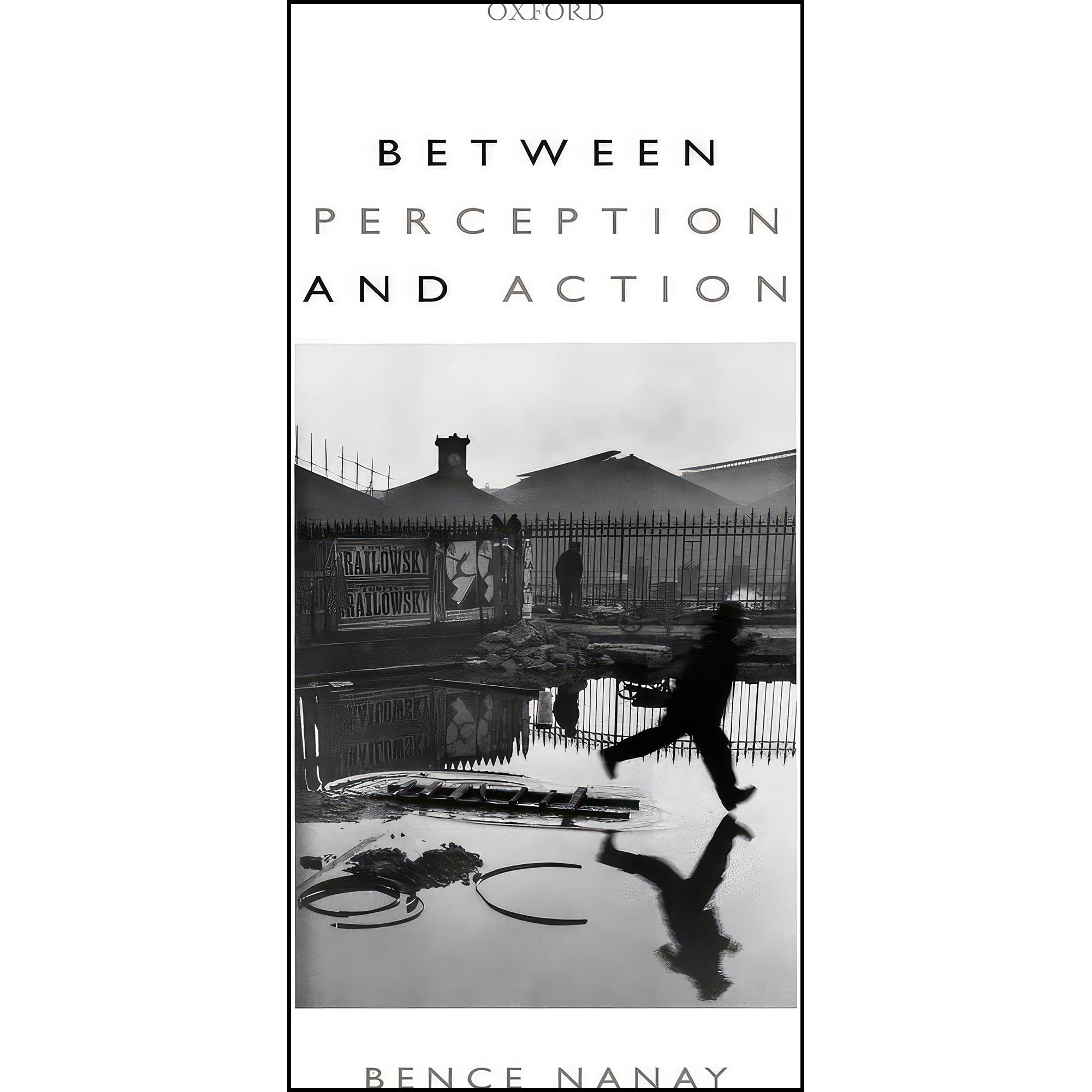 کتاب زبان اصلی Between Perception and Action اثر Bence Nanay